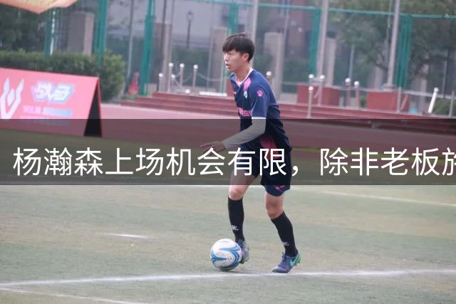 杨瀚森上场机会有限，除非老板施压